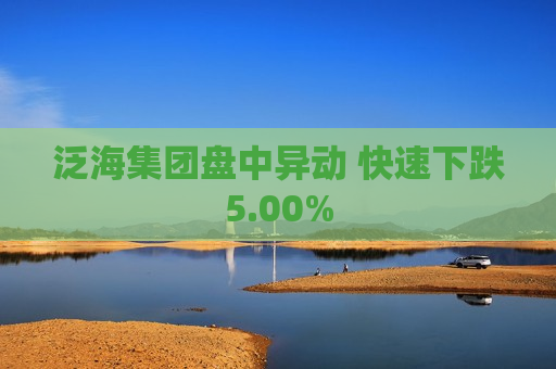 泛海集团盘中异动 快速下跌5.00%  第1张