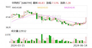 华纳药厂：拟向实控人黄本东控制的华纳至臻定增募资不超5亿元