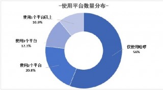 哈啰打车发布司机生态报告：司机认证规模年涨35%