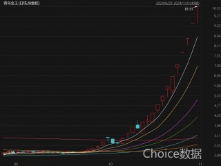 青岛金王“16天13板”，化债概念股成色几何？