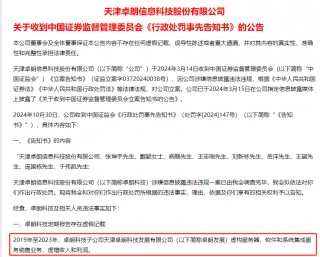 连续5年造假！这只A股，面临强制退市！