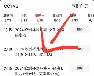 欧洲杯直播(欧洲杯直播预约app下载官方)