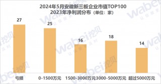 2024年5月安徽新三板企业市值TOP100：32家企业去年净利润超3000万元