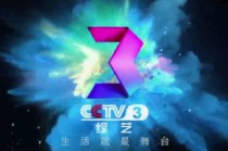 cctv3(cctv3新闻频道在线直播观看正在直播中央二台)