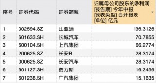 半年研发砸202亿，谁说比亚迪靠“人海战术”？