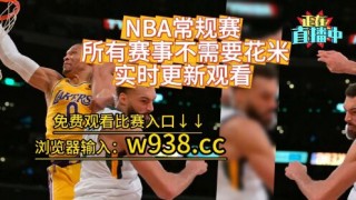 免费看nba回放的网站(微博国语nba录像回放免费看)