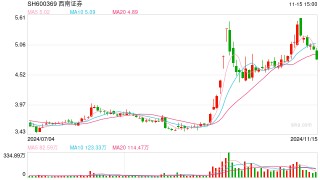 姜栋林当选西南证券董事长 接替因退休离任的吴坚