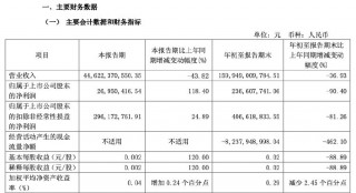 财报透视｜绿地控股前三季度净利润下滑九成，副董违法被查，董事长被“限高”