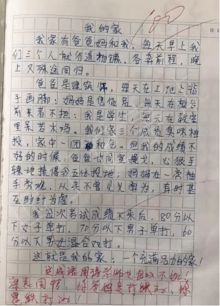 笑作文(笑作文450字左右)