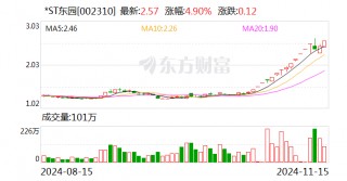 *ST东园连续两日涨幅偏离值累计超12%