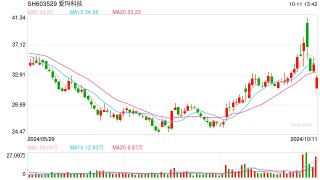 爱玛科技盘中一度市值缩水约20亿元 公司回应：尚无法确定实控人能否正常履职