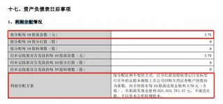 包含数码通电讯：年报2022/2023的词条