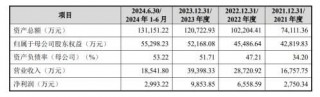 举债一个亿增持承诺60个月不减持北大学霸携 芯片医院 冲刺科创板