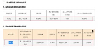 1.56亿元募集资金或无法按期归还，谁能解岭南股份危局？