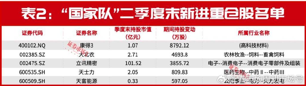 “国家队”又现异动！加仓这只消费电子龙头3800万股  第3张