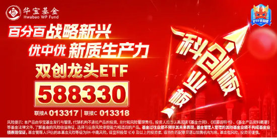 主力资金大举加码权重板块，双创龙头ETF（588330）封死涨停板，标的指数近9成成份股涨超10%！  第5张