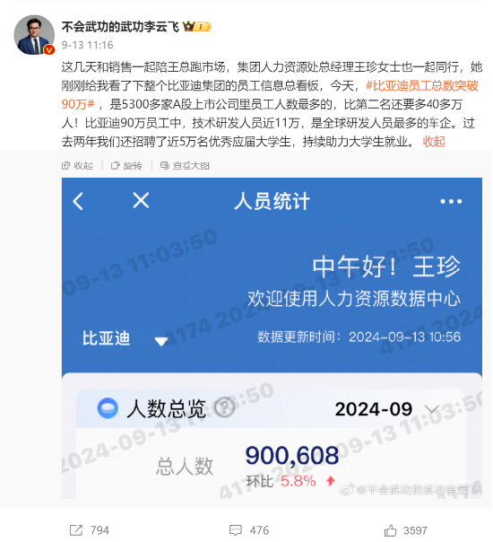 半年研发砸202亿，谁说比亚迪靠“人海战术”？  第1张