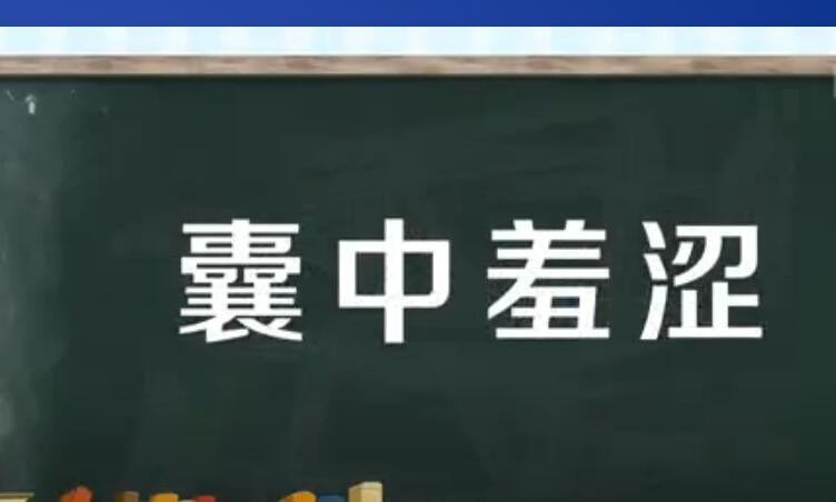 囊的成语(囊的成语和词语)  第2张