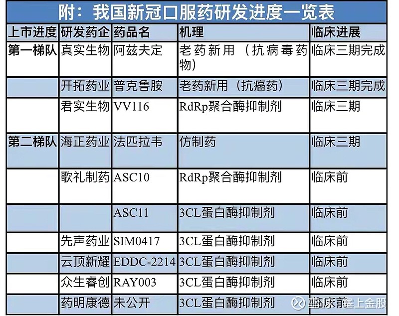 新冠药、创新药该如何定价(新冠药,创新药该如何定价呢)  第1张